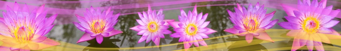skinali 0770